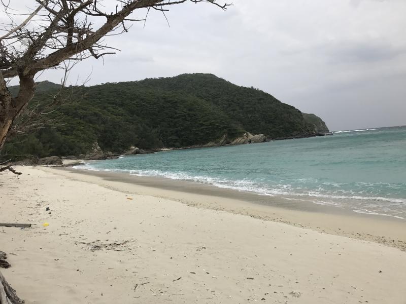 座間味島イノーの浜のイメージ画像