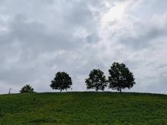 寝屋川公園のイメージ画像