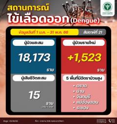 タイのデング熱症例、5ヶ月で18,173人を確認・15人死亡のイメージ画像