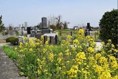 サブスクお墓にレンタル墓石…コロナで変わった「お墓」の在り方のイメージ画像