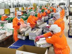 【経済】ベトナム農林水産物輸出2025年は700億USD超えも視野に
