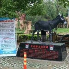 中国 ﾛﾊﾞを虎の檻に投げ見世物に 批判殺到し追悼像を建てる 国際ニュース掲示板 ローカルクチコミ爆サイ Com北部九州版