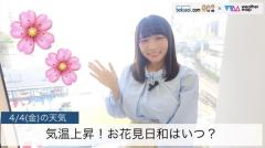 気温上昇！お花見日和はいつ？のイメージ画像