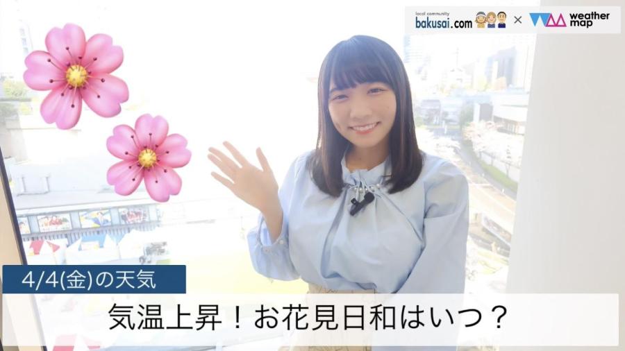 気温上昇！お花見日和はいつ？のイメージ画像