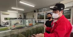 バッドボーイズ佐田が久しぶりに金魚店へ 究極の2択に悩みまくる