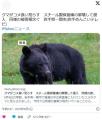 【岩手】クマがコメ食い荒らすスチール製保管庫の扉壊して侵入同様の被害相次ぐ一関市