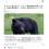 【岩手】クマがコメ食い荒らすスチール製保管庫の扉壊…(8)