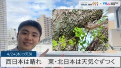 西日本は晴れ東・北日本は天気ぐずつく
