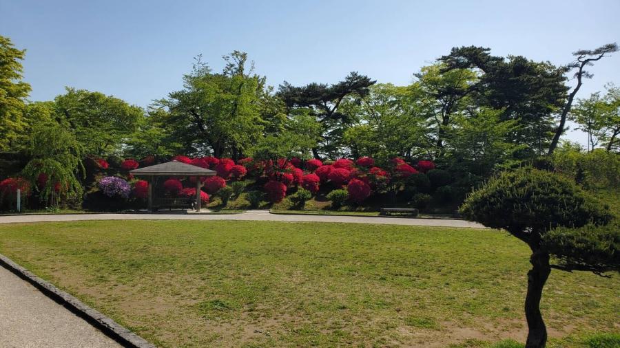 秋田県・千秋公園のイメージ画像