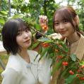 乃木坂46弓木奈於＆中西アルノ、デビ..
