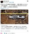 【沖縄】正体わからず科捜研が現場検..