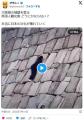 大阪城壁をよじ登る外国人観光客が多発。こいつらの国籍は何処だ？