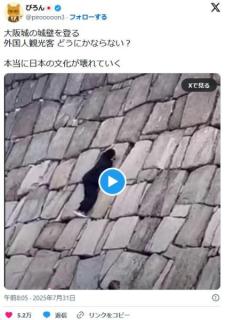 大阪城壁をよじ登る外国人観光客が多発。こいつらの国籍は何処だ？のイメージ画像