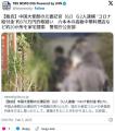 中国大使館の元書記官（62）ら2人逮捕 ..