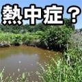 猛暑のせいか 保険金の不正請求