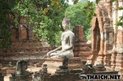 タイの古都アユタヤでタクシー・トゥクトゥクラリー開催
