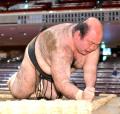 森麗、史上ワースト連続負け越し「４０場所」に更新 ８日目に史上２人目の序ノ口１００場所目で初白星…「兎富士」に敗れる