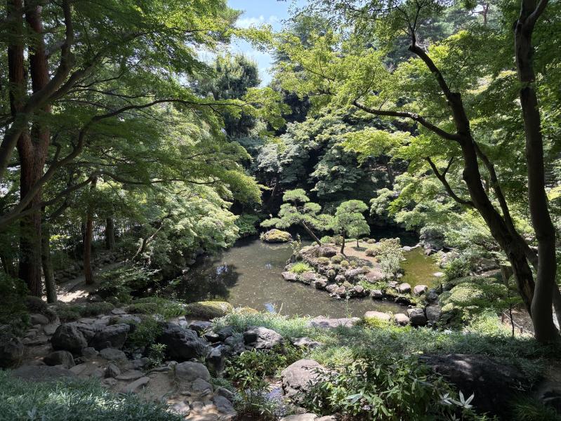 殿ヶ谷戸庭園池のイメージ画像