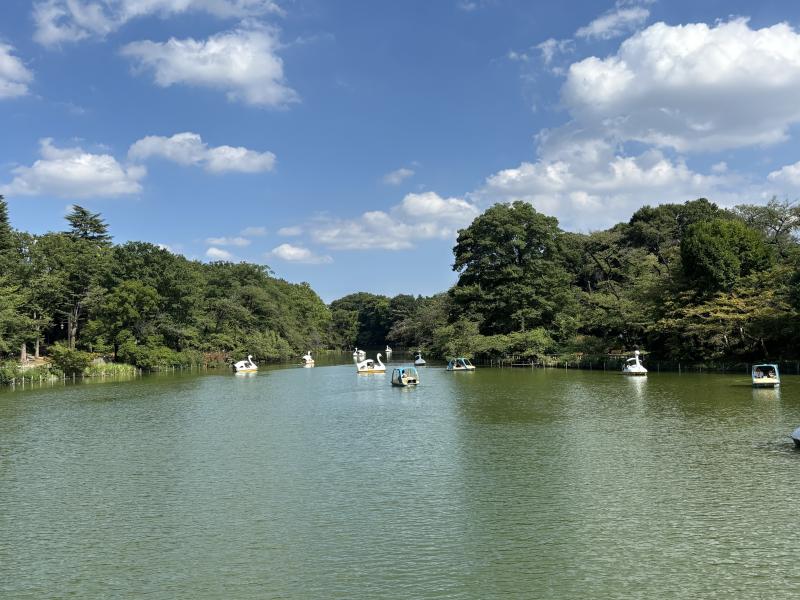 井の頭池のイメージ画像