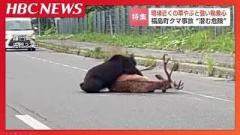 「完全に肉食動物の状態になっている」新聞配達中の52歳男性死亡のクマ事故“生ごみ”に対する執着心のスイッチが入った…専門家が見た予兆と危険 北海道