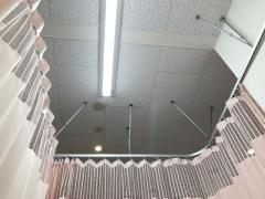 バンコク・トンブリー拘置所でサル痘感染の受刑者死亡のイメージ画像