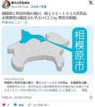 相模原と町田市境の境川、魚５００～..