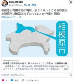 相模原と町田市境の境川、魚５００～１０００匹死ぬ水質異常は確認されずのイメージ画像