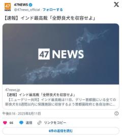 インド最高裁「狂犬病が流行っているので政府は全野良犬100万匹を収容しろ」