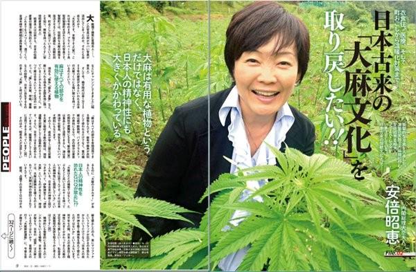 日本には大麻伝道師が ﾁｮｺの街から大麻の街へ ｶﾅﾀﾞ郊外の小さな街が大変な事に 爆サイ Com東海版