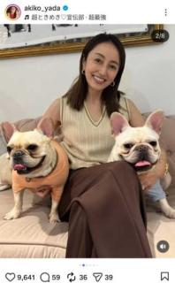 矢田亜希子が愛犬たちと笑顔あふれる時間を公開 フレンチブルドッグとの仲良しショット「可愛すぎる」と反響のイメージ画像