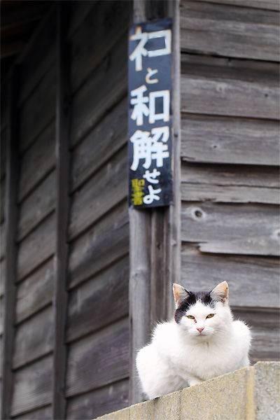 生前同様 地獄で麻原