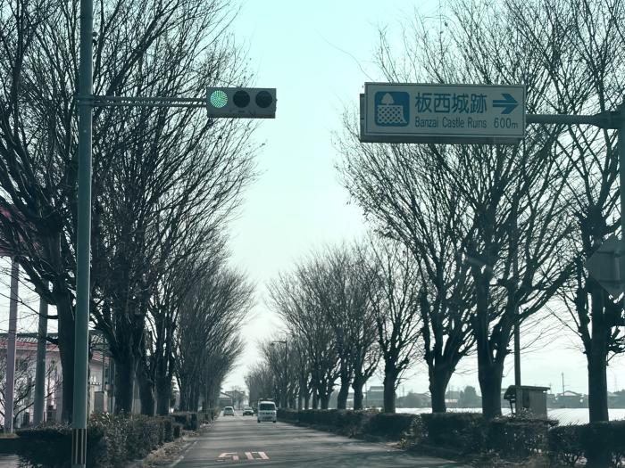 板野町の冬の並木道のイメージ画像