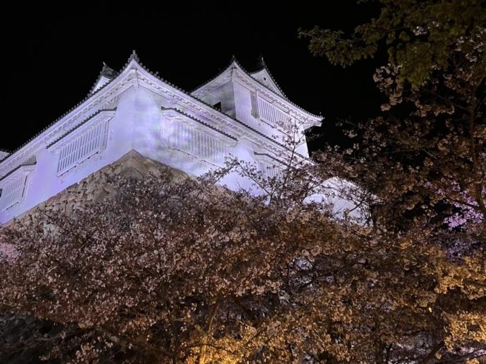 日本さくら名所100選 津山城のイメージ画像