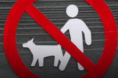 イランで、犬の散歩禁止が全国の都市に拡大のイメージ画像