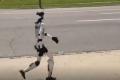 米の道路をヒト型ロボットが普通に歩いていく、通行人もびっくり【動画】