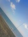 虎杖浜なう