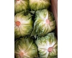 研ナオコ、今年も届いた箱いっぱいの新鮮レタスに感謝のイメージ画像