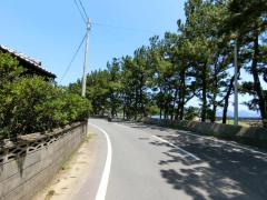 島の小道