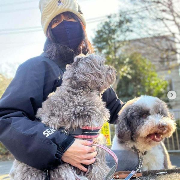 工藤静香、ニット帽＆巨大マスク姿での愛犬散歩に反響「寒い中大変ですね」