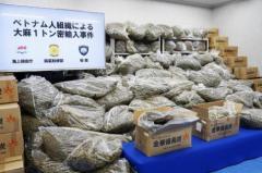 大麻1トン押収、過去最大量 52億円相当、麻薬取締部のイメージ画像