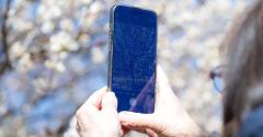 シニアのスマホ所有率が急上昇！ 10年で4倍の89％、従来型ケータイはわずか7％に【モバイル社会研究所】のイメージ画像