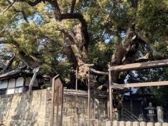 三島神社のイメージ画像