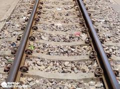 タイと日本、バンコクとチェンマイを結ぶ高速鉄道の第1期工事に着手へ