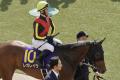 【ホープフルS（G1）展望】近10年「G1勝..