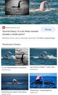 未確認生物ネッシー、鯨のちんぽ説のイメージ画像