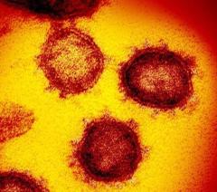 新型コロナ死者15.8万人 高齢中心に高水準、初確認6年のイメージ画像