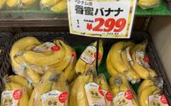 【経済】ベトナム産バナナ、日本市場で存在感拡大