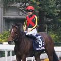 23年3冠牝馬リバティアイランドが香港..