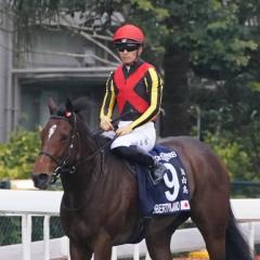 23年3冠牝馬リバティアイランドが香港で力尽く…レース中に急失速し、安楽死の処置のイメージ画像