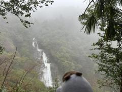 高知 滝１００選の１つ 轟の滝のイメージ画像